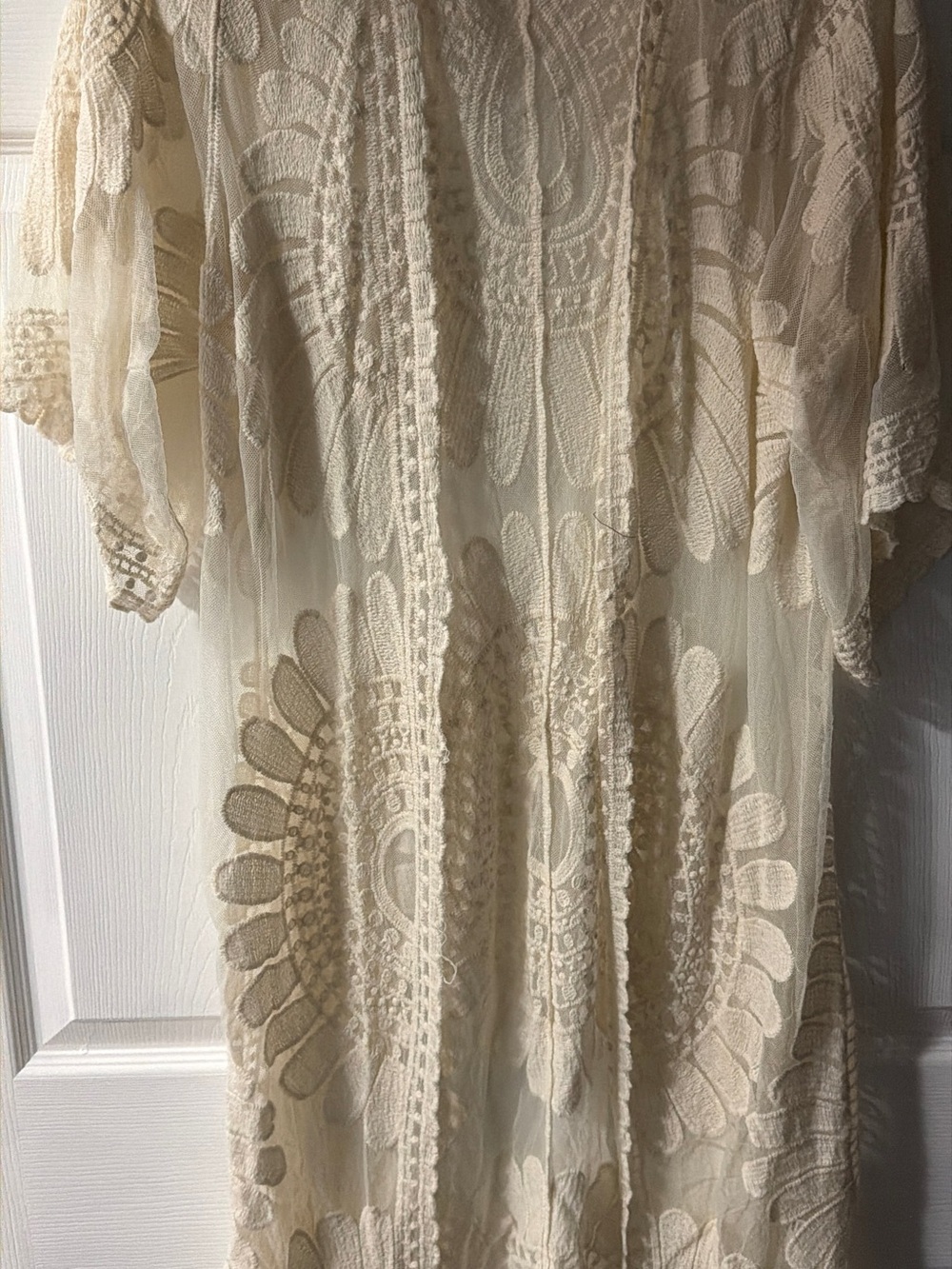 Cream Lace Embroidered Sheer Vest
